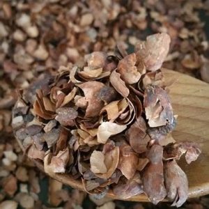 Chocolate Tea by Rico Coco Cacao husk Bulk 1 kg loose tea
